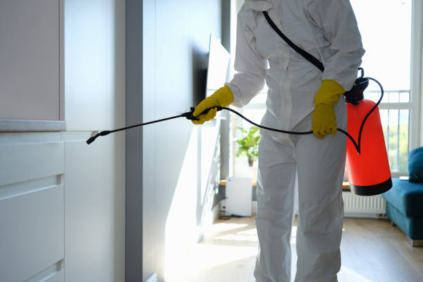 Best Emergency Mold Remediation in Fort Gibson, OK