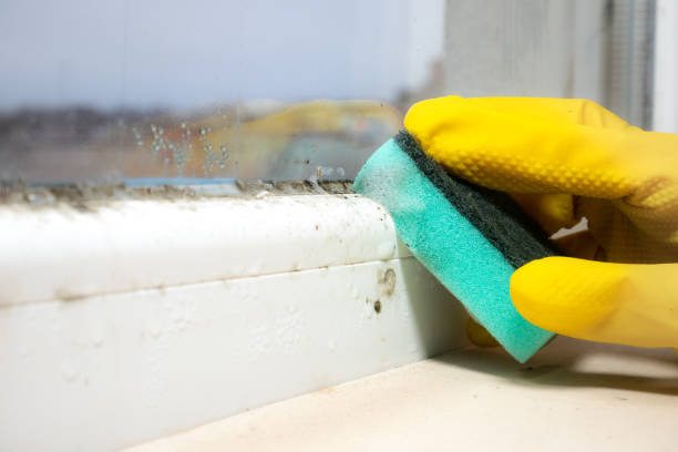 Best Crawl Space Mold Remediation in Fort Gibson, OK
