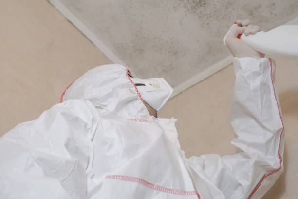 Best Commercial Mold Remediation in Fort Gibson, OK