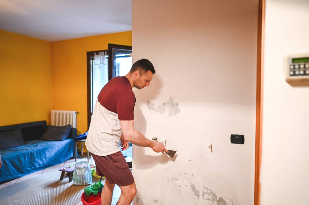 Best Attic Mold Remediation in Fort Gibson, OK